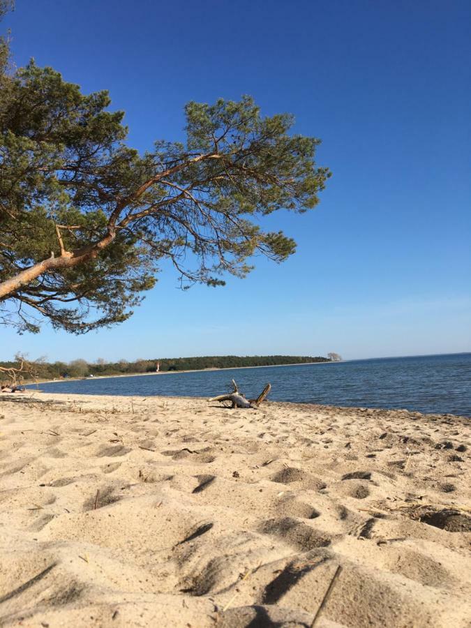 Vila Ferienhaus Anker Zudar Exteriér fotografie